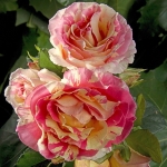 Claude Monet (Клод Моне)